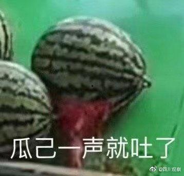 吃瓜呕吐,揭秘吃瓜呕吐现象背后的真相