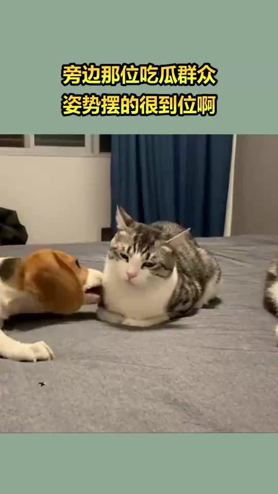 吃瓜pose怎么摆,揭秘吃瓜pose的趣味摆法