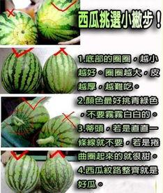 吃瓜怎么切块牙,吃瓜新姿势