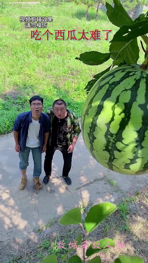 吃瓜群883704,一场网络热议背后的故事