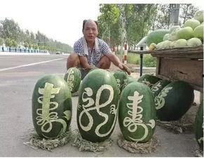 吃瓜新闻评述怎么写,揭秘吃瓜新闻背后的真相与娱乐效应