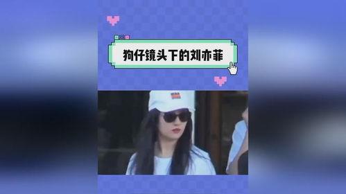 吃瓜日记直播在哪看,吃瓜日记独家观看指南