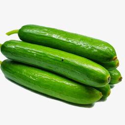 考编理性吃瓜,考编路上的智慧指南