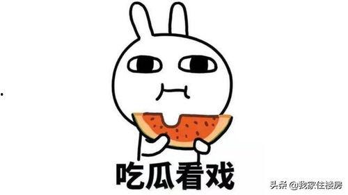 吃瓜不可错过,盘点娱乐圈那些不可错过的精彩瞬间