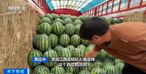 吃瓜值哪里看,网络围观背后的社会心理