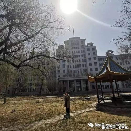 吃瓜群众岱 乌衣巷,揭秘吃瓜群众岱的八卦传奇