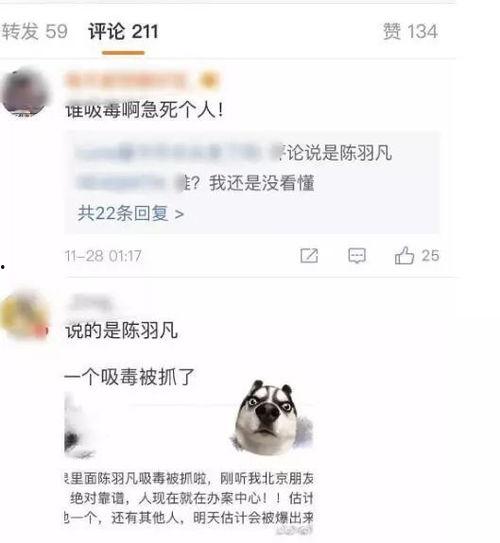 吃瓜头像获取,揭秘吃瓜头像背后的趣味与潮流