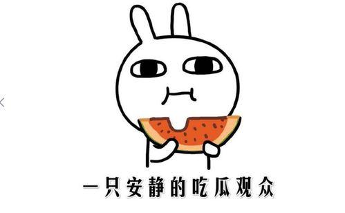 描述吃瓜的心情