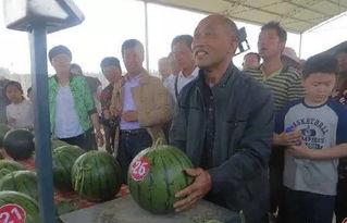 吃瓜内黄视频,一场视觉盛宴背后的故事