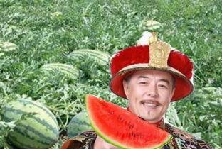 由乾隆吃瓜想到的,宫廷与民间文化的交融