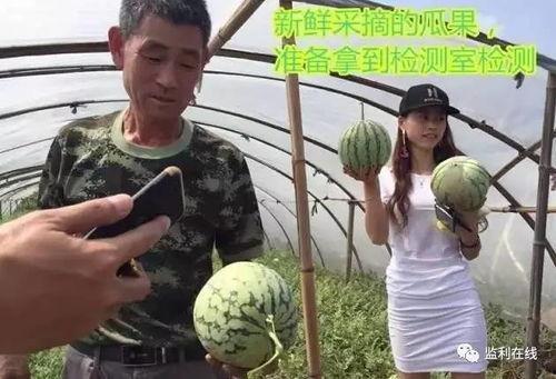 联通的吃瓜群众看直播吗,直播界的吃瓜群众众生相