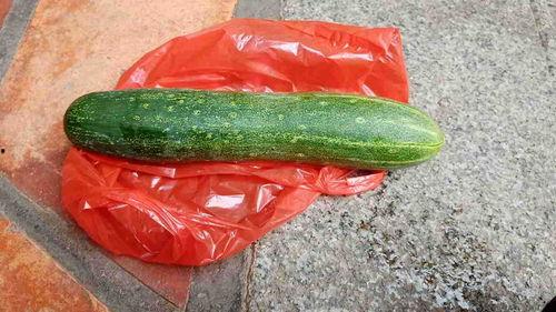 瓜可以吃的,探寻可食用瓜类的多样魅力