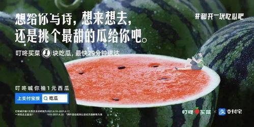 吃瓜吃净文案怎么写好看,尽享净爽——揭秘吃瓜吃净的独特魅力