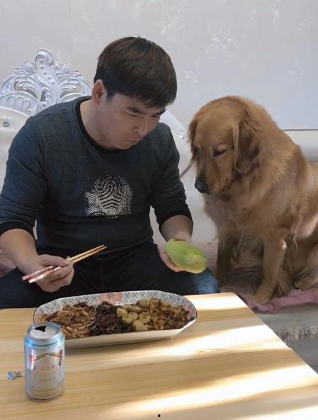 狗妈吃瓜,揭秘宠物界的趣味瞬间