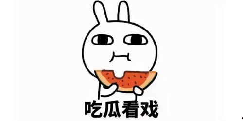 热门吃瓜文案短句,盘点那些让人捧腹的瞬间