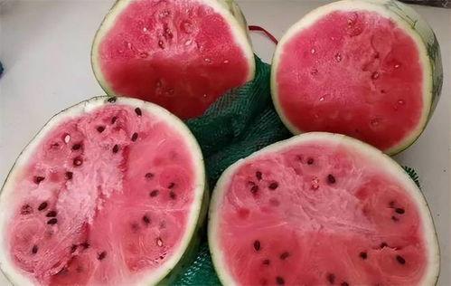 吃瓜吃假瓜,揭秘吃瓜群众的智慧与陷阱