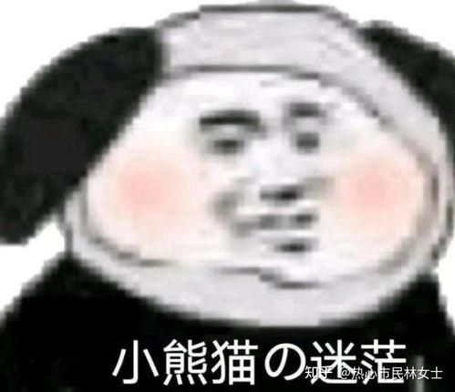 瓜哥带你吃瓜熊猫表情包