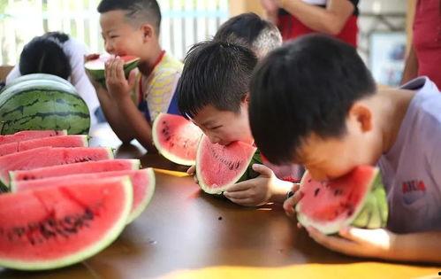 小孩吃瓜比赛,儿童欢乐吃瓜大赛精彩瞬间