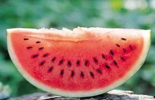 整天吃瓜现在瓜落在自己身上,从吃瓜群众到瓜落自尝的尴尬转变