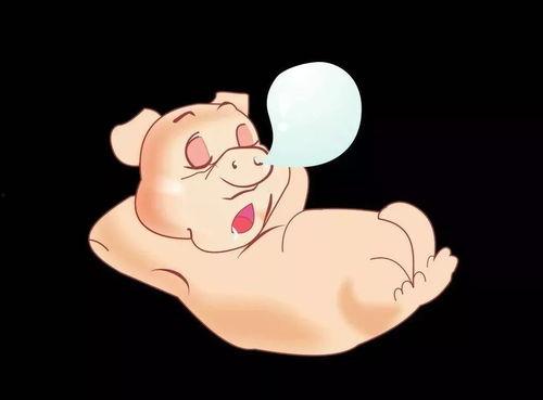 小胖吃大头瓜,一场甜蜜的味蕾冒险