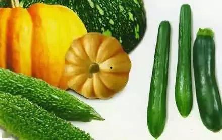 孔子学院吃瓜,文化交流中的趣味与思考