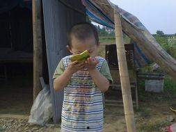 田间吃瓜照片儿童,小手捧瓜，快乐满溢