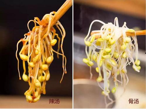 吃瓜咔嚓咔嚓,揭秘娱乐圈幕后故事