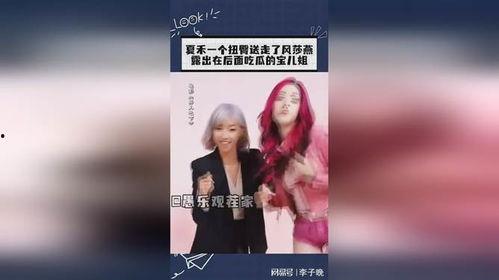 吃瓜的宝儿,吃瓜宝儿带你领略娱乐圈风云变幻