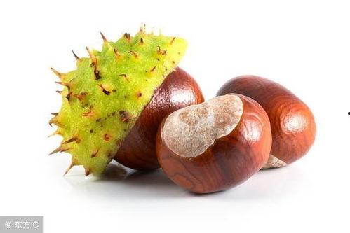 肾病可以吃板栗瓜吗,肾病患者的板栗瓜食用指南 第2张 肾病可以吃板栗瓜吗,肾病患者的板栗瓜食用指南 第2张