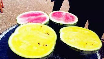 吃瓜爆料图片高清,娱乐圈最新热点事件大揭秘