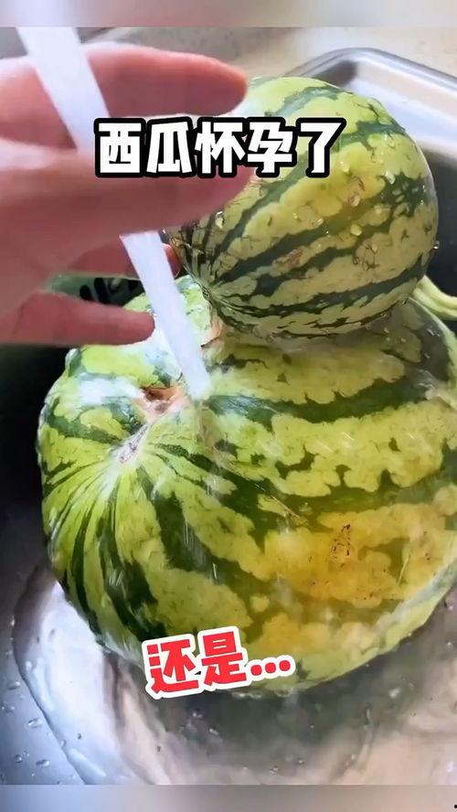 趣味吃瓜视频合集 第3张 趣味吃瓜视频合集 第3张