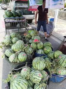 夜灵溪吃瓜,揭秘娱乐圈的瓜田秘闻  第2张