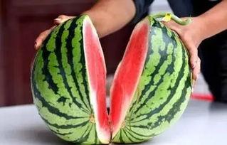 夜灵溪吃瓜,揭秘娱乐圈的瓜田秘闻  第3张