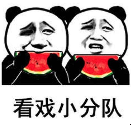 吃瓜表情代表啥,揭秘网络社交中的“围观”文化  第3张
