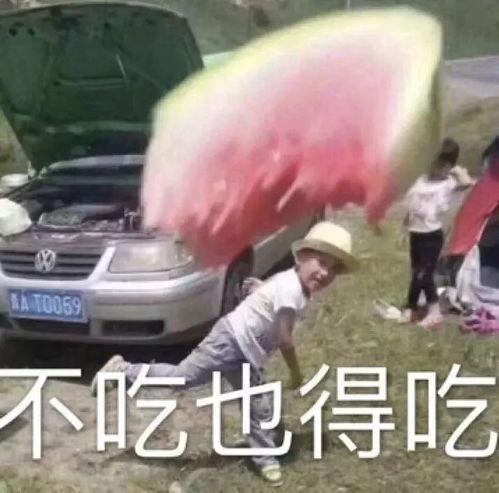 吃瓜小熊缺点,揭秘那些不为人知的缺点与成长之路  第2张