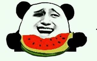 刘海柱吃瓜,揭秘娱乐圈背后的秘密与真相  第3张